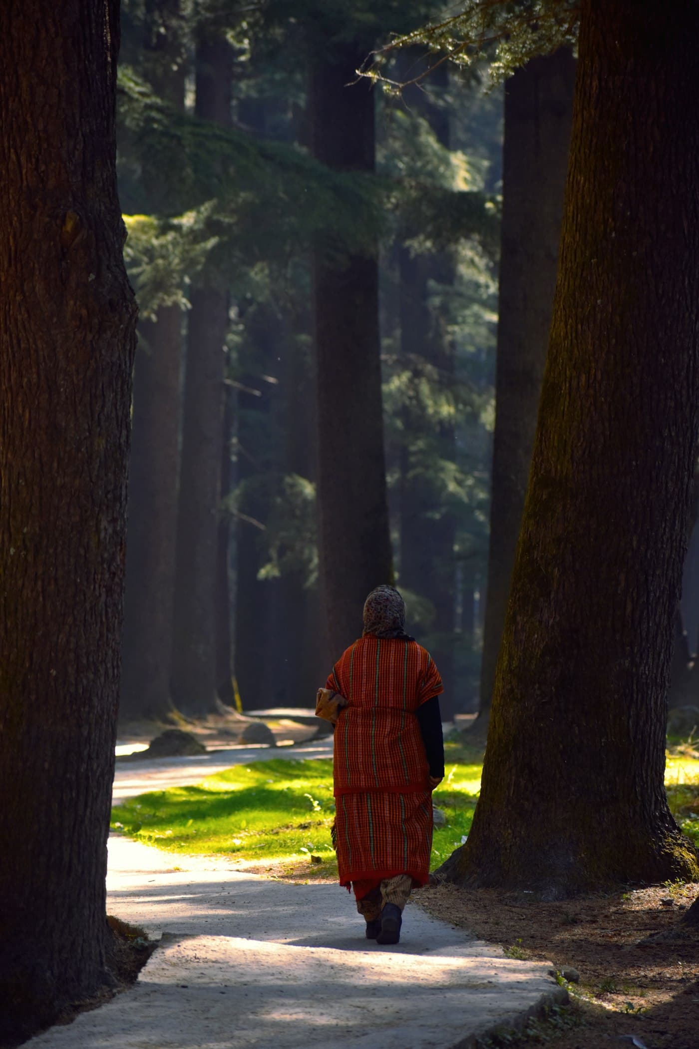 An older woman walking alone through a park in the early morning